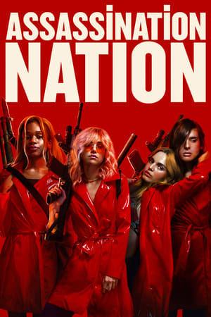 Assassination Nation (2018) Hindi Dual Audio [940MB] HD Poster Download - filmyfly