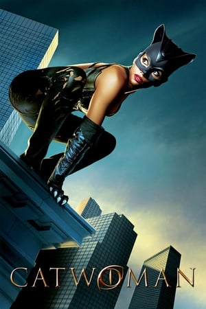 Catwoman (2004) Hindi Dual Audio 400MB HD Poster Download - filmyfly