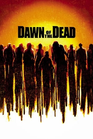Dawn of the Dead (2004) Hindi Dual Audio Movie - 1GB HD Poster Download - filmyfly