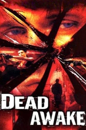 Dead Awake 2001 Hindi Dual Audio [1GB] HD Poster Download - filmyfly