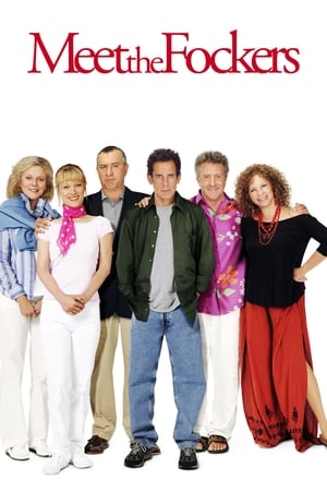 Meet the Fockers (2004) Hindi Dual Audio [1.1GB] HD Poster Download - filmyfly