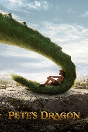 Pete's Dragon (2016) Hindi Dual Audio [800MB] HD Poster Download - filmyfly