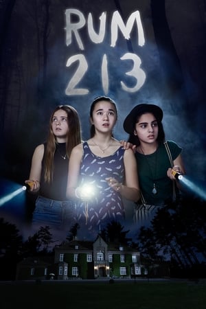 Rum 213 2017 Hindi Dual Audio [800MB] HD Poster Download - filmyfly