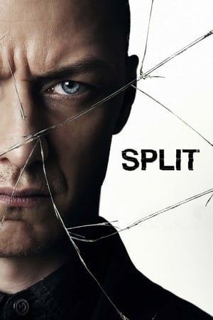 Split (2016) Hindi Dual Audio 400MB HD Poster Download - filmyfly