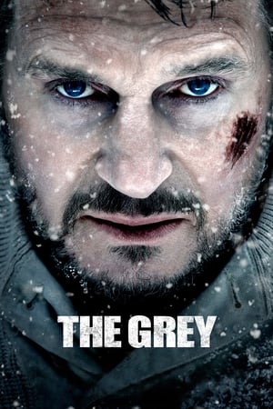 The Grey 2011 Hindi Dual Audio 360MB HD Poster Download - filmyfly