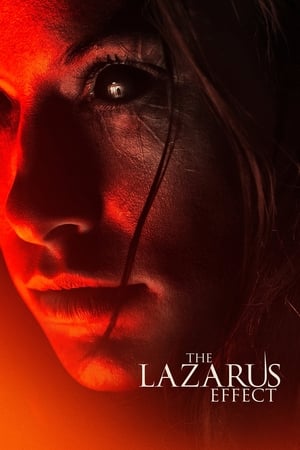 The Lazarus Effect (2015) Hindi Dual Audio [800MB] HD Poster Download - filmyfly